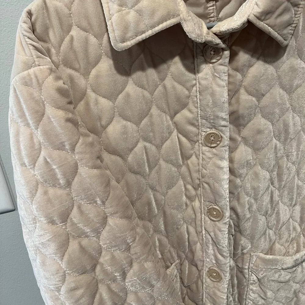 Quilted Jacket - Picture 3 of 4
